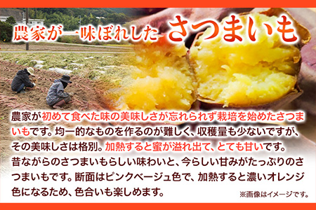 和歌山県のサツマイモ 在来種 小さめサイズ 5kg《12月中旬‐4月下旬頃より順次出荷》和歌山県 日高川町 みはらファーム さつま芋 薩摩芋---wshg_mssi_b124_22_11000_5kg---