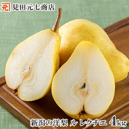 申込期間は12 15迄  洋梨 ル レクチエ 4kg 秀品 新潟県産 梨 なし ナシ