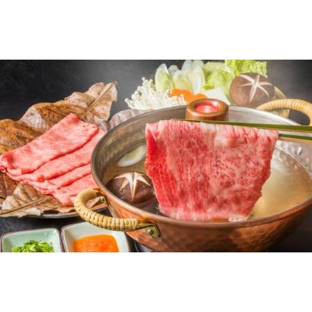 ふるさと納税 牛肉 切り落とし 500g しゃぶしゃぶ すき焼き 500g 博多和牛 A4〜A5 セット 合計1kg 配送不可：離島 福岡県朝倉市