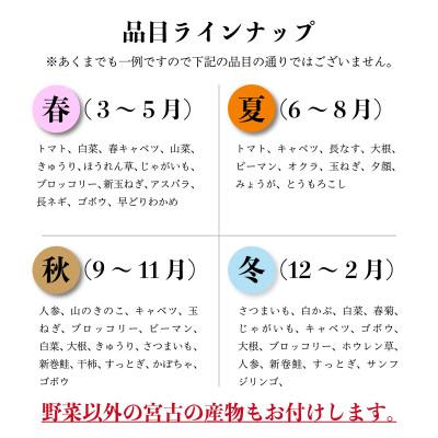 ふるさと納税 宮古市 こだわり厳選!旬の野菜セット