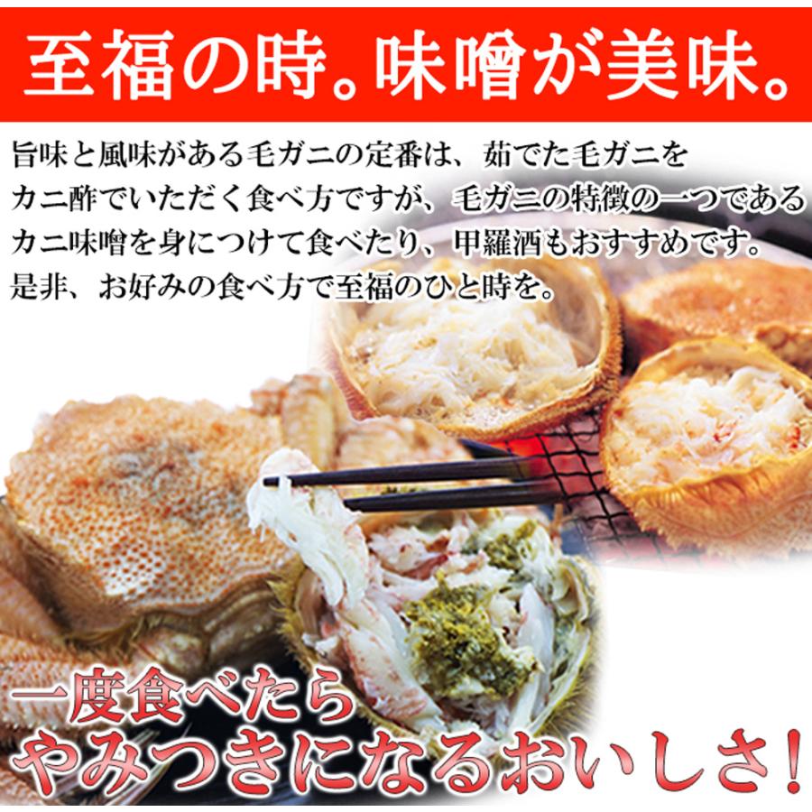 毛がに 400g×2尾 北海道産ボイル毛ガニ 400g×2尾 茹でたて 濃厚 味わい 北海道産 国産 日本産 蟹 カニ かに 海鮮 海の幸 魚介