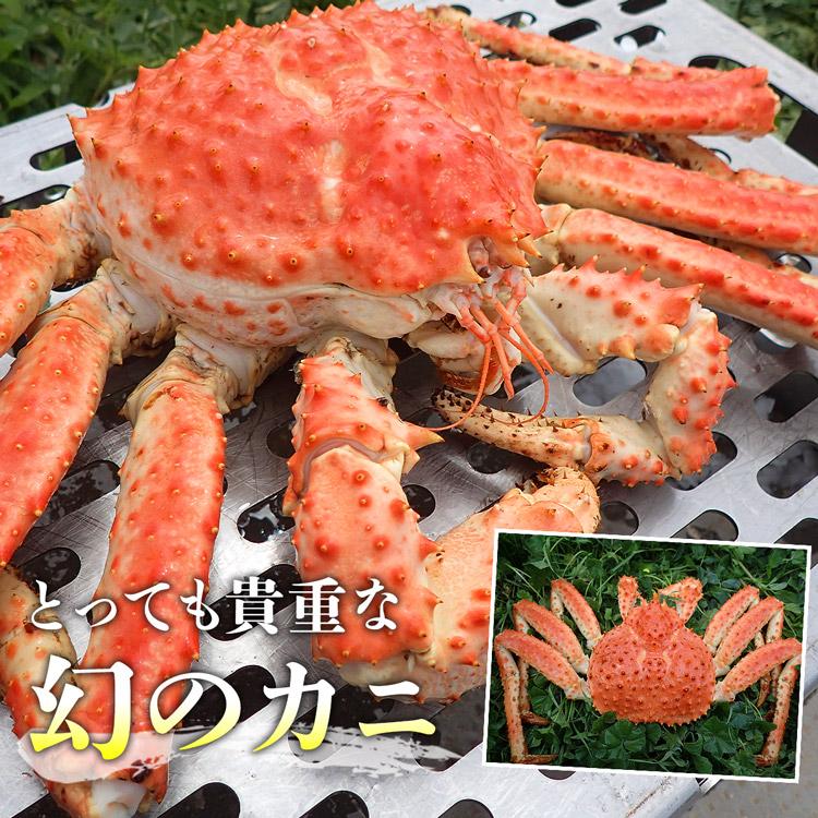 かに カニ 蟹 まるで タラバガニ 2kg ゴールデンキングクラブ ボイル かにの足 タラバガニ科 海鮮 食品 優良配送 お歳暮 ギフト 10%クーポン