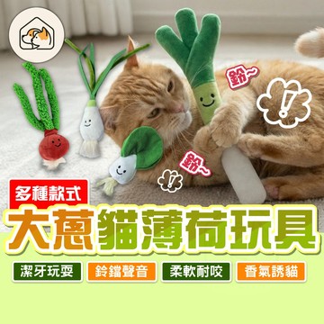 【添加貓薄荷👍】大蔥貓草玩具 貓薄荷玩具 逗貓玩具 貓咪自嗨玩具 貓咪啃咬玩具 貓草玩具 貓咪發聲玩具 貓玩具 寵物玩具