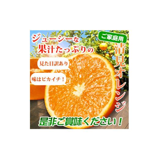 ふるさと納税 和歌山県 有田川町 紀州有田産清見オレンジ　7.5kg