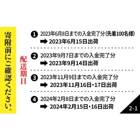 ふるさと納税 長崎県五島産 近大マグロ 約500g (大トロ・中トロ・赤身) まぐろ 刺.. 長崎県五島市