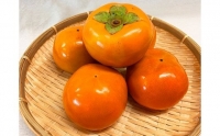 和歌山秋の味覚　富有柿　約2kg　化粧箱入