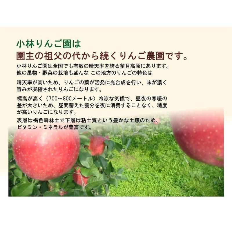 フルーツ りんご 信州りんご 長野県佐久市 小林りんご園 樹上完熟信州りんご ぐんま名月 3kg（7玉〜12玉） エコファーマー農園 送料無料