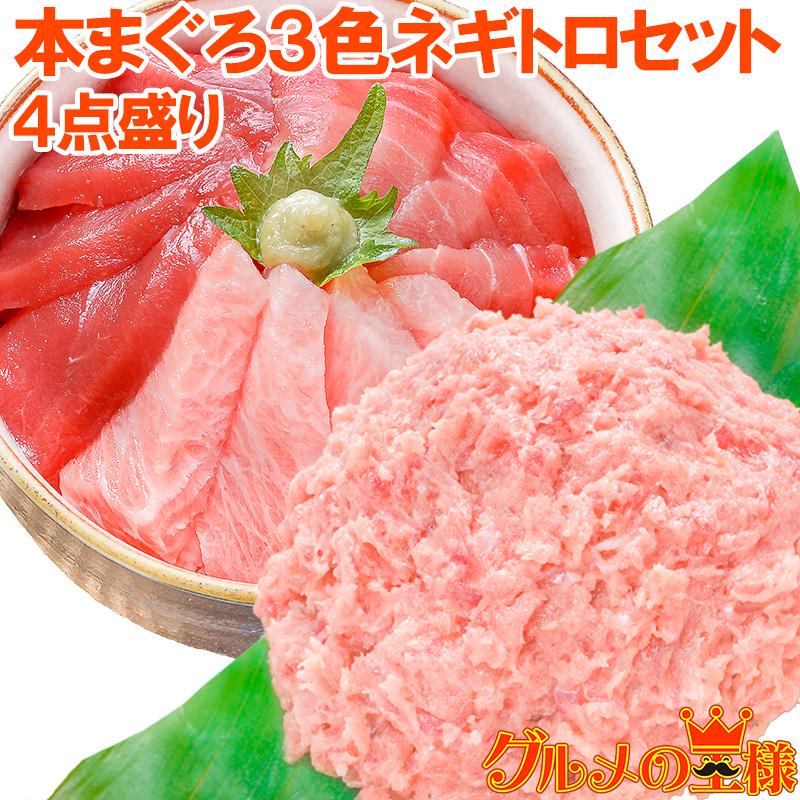 (マグロ まぐろ 鮪) 本まぐろ 大トロ 中トロ 赤身 刺身 各200g 超豪華3色セット＋ネギトロ500g 単品おせち 海鮮おせち