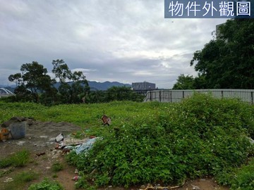 鶯歌車站捷運站旁乙工+農地650｜新北市鶯歌區中正段