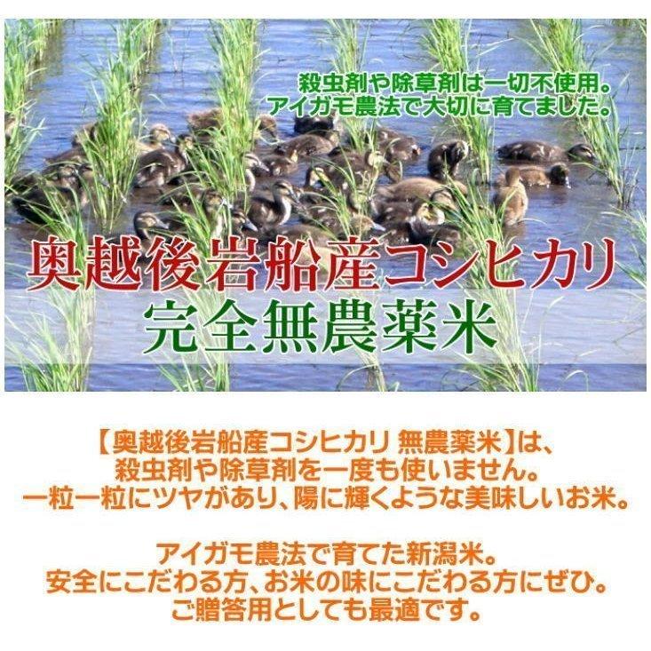 転職 プレゼント お米 5kg 農薬不使用 希少米コシヒカリ 無洗米 新潟米 人気 お礼の品 お返し 送料無料