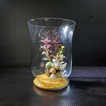 魚缸 珊瑚海景、流木水草 組合造景 AM-002-XS-03