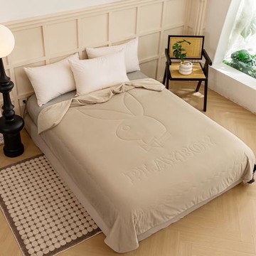 【PLAY BOY】極凍涼感夏日冰冰被 2入(涼被/涼感被/冷氣毯)