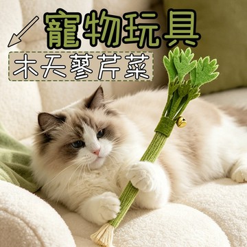 貓咪玩具 貓玩具 貓咪磨牙玩具 芹菜玩具 木天蓼芹菜玩具 可愛造型 木天蓼 貓咪啃咬棒 芹菜造型啃咬棒