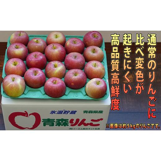 ふるさと納税 青森県 弘前市 1月発送 訳あり EM葉取らずサンふじ約10kg 糖度13度以上　