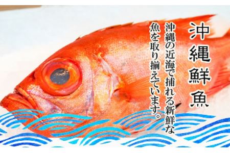  沖縄美ら海鮮魚セット