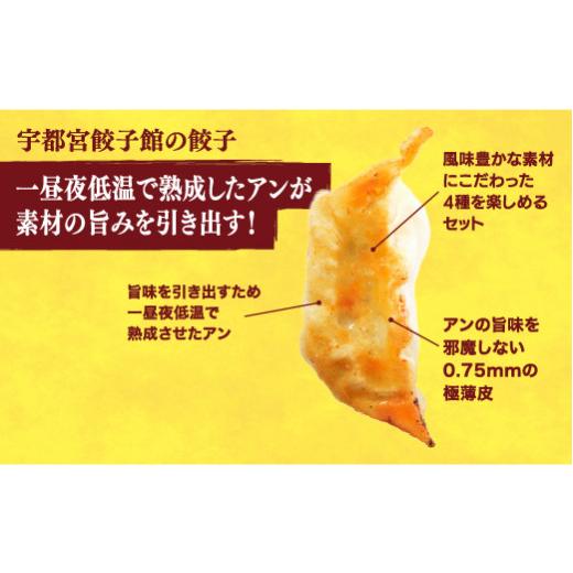 ふるさと納税 栃木県 宇都宮市 　餃子32個入り×2箱