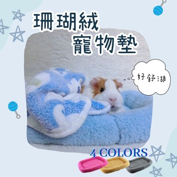 噗啾草坊🐹 珊瑚絨寵物墊 睡墊 寵物床 現貨供應 天竺鼠 兔子 蜜袋鼯 刺蝟 龍貓 現貨供應