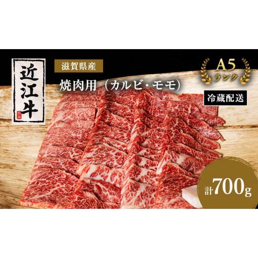 ふるさと納税 滋賀県 豊郷町 近江牛A5ランク焼き肉用カルビ・モモ700g