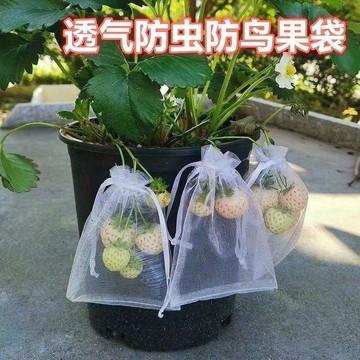 💥免運出貨💖尼龍水果套袋 防鳥袋 100入 防蟲網袋 防蟲袋 套袋 水果套袋 蓮霧套袋 釋迦果套袋 芭樂套袋 草莓套袋