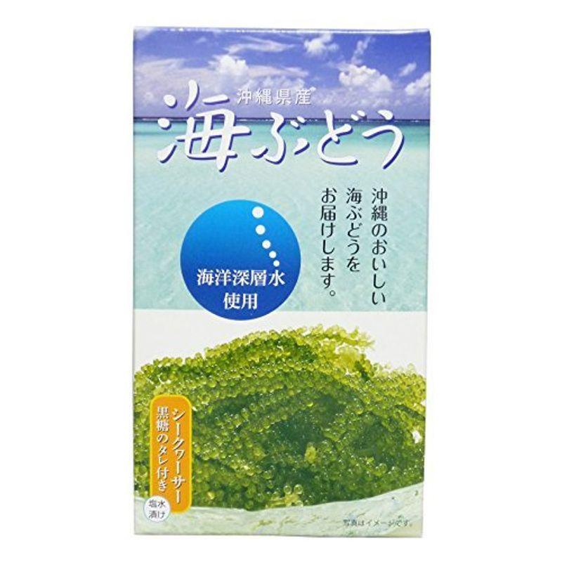 海洋深層水使用 沖縄県産 海ぶどう(60g)×１箱 サングリーンフレッシュ