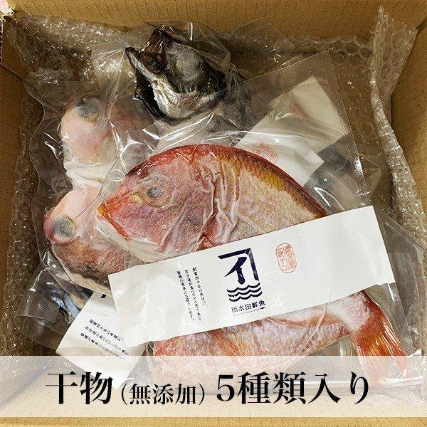 減塩 干物5種類セット  無添加 無着色 お歳暮 ギフト 鹿児島県産  のし無料 冷凍