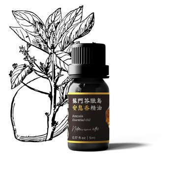 【卡佛香】蘇門答臘島安息香精油