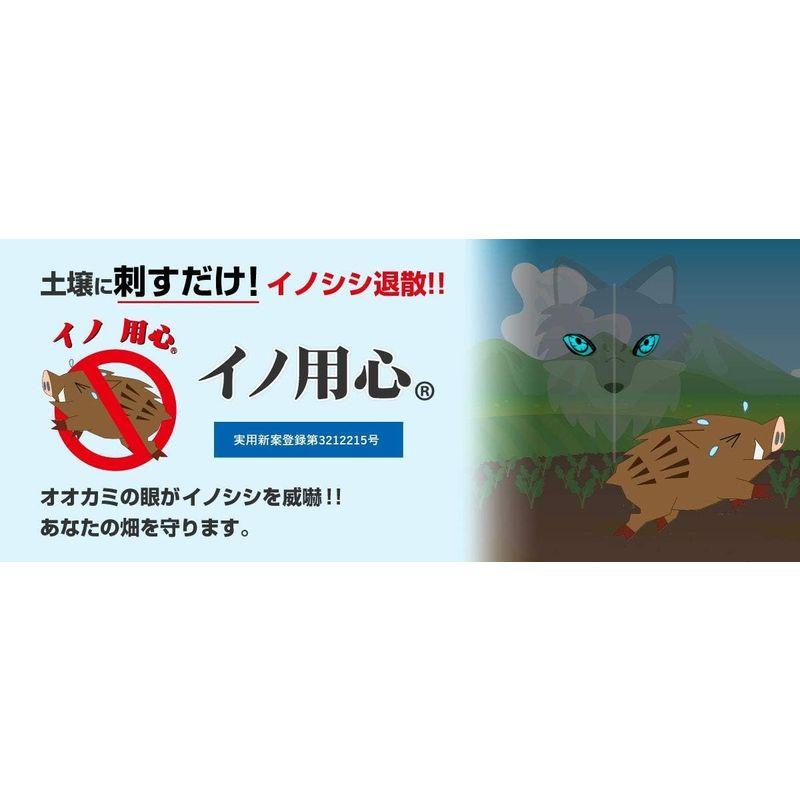 日本ダム株式会社 害獣避け イノシシ避け 蓄光 オオカミの眼光 畑 田んぼ 四隅用 イノ用心 (5本セット)