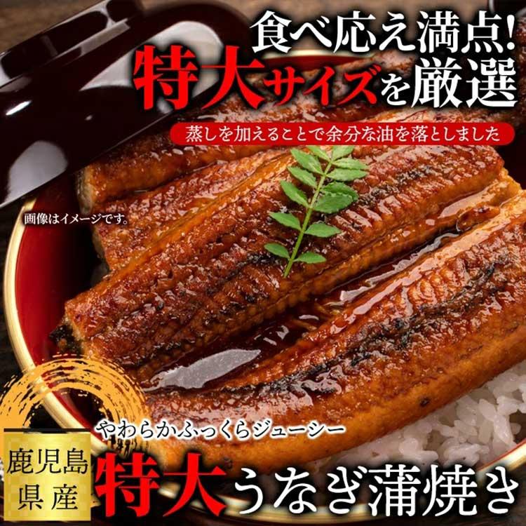 国産特大うなぎ蒲焼き186g×2袋《冷凍》