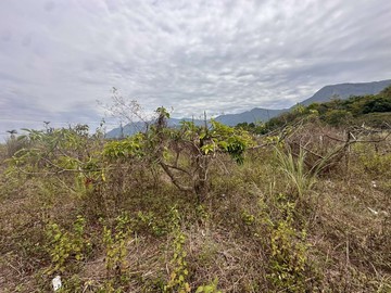 高樹山映綠境有機酪園｜屏東縣高樹鄉泰興段