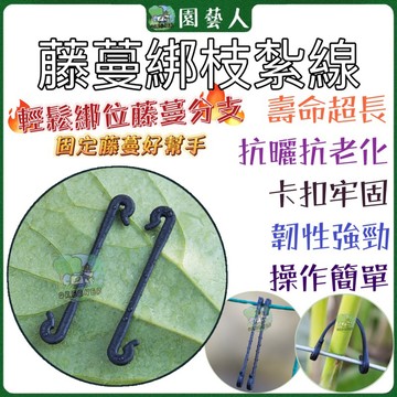🌿園藝人🌿藤蔓綁枝紮線葡萄綁枝扎線 園藝綁帶 藤蔓捆紮夾 紮帶 園藝扎線 蔬菜固定卡子 綁枝卡扣