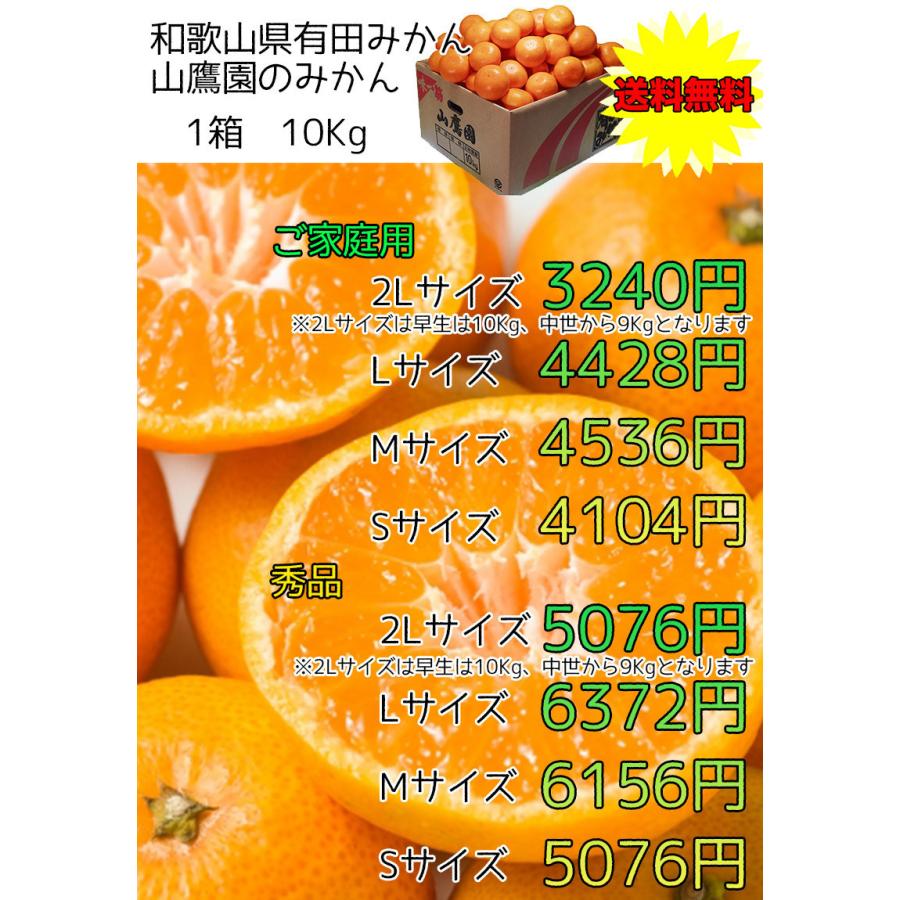 みかん 5Kg 送料無料 和歌山県 有田みかん 山鷹みかん 秀 Lサイズ 5kg 贈答用 ギフト