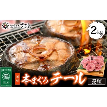 ふるさと納税 国産 本まぐろ テール 2kg まぐろの王様！引き締まった身に旨味が凝縮 ステーキや煮物に コラーゲンたっぷり！[e04-a054] 福井県越前町