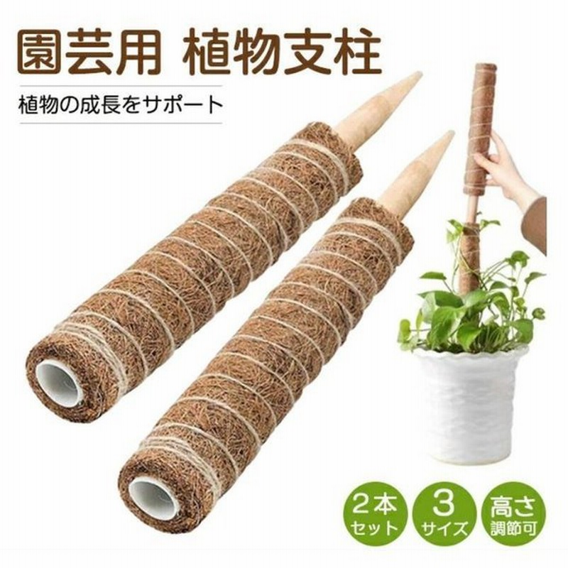 レビューで送料無料 ココスティック 3点セット モンステラ支柱 観葉植物 支柱 園芸支柱 植物 ガーデニング用 花ささえ ココナッツ支柱 植物サポート つる性植物 トマト ポトス 園芸用 園芸支柱パーツ 高さ調整可能 おしゃれ 30cm 40cm 50cm 天然 ココナッツ モンステラ