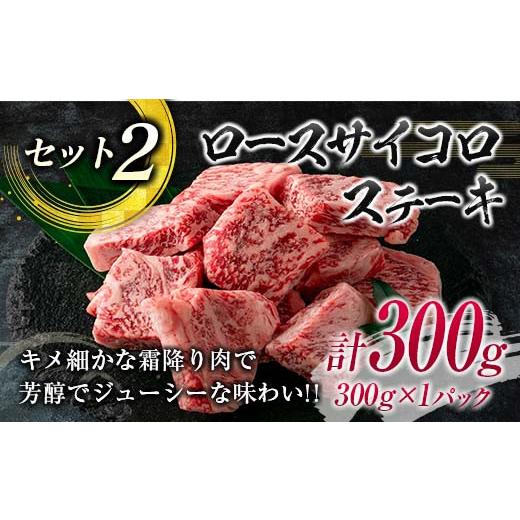 ふるさと納税 宮崎県 日南市 ≪数量限定≫宮崎牛ステーキ食べ比べセット(合計500g)　肉　牛　牛肉　国産 E42-23