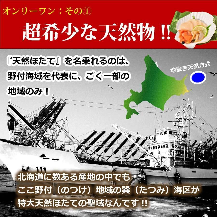 天然 ほたて 生貝柱 3玉殻乗せ 北海道 野付産 ホタテ 帆立 ほたて 貝柱 北海道産 父の日