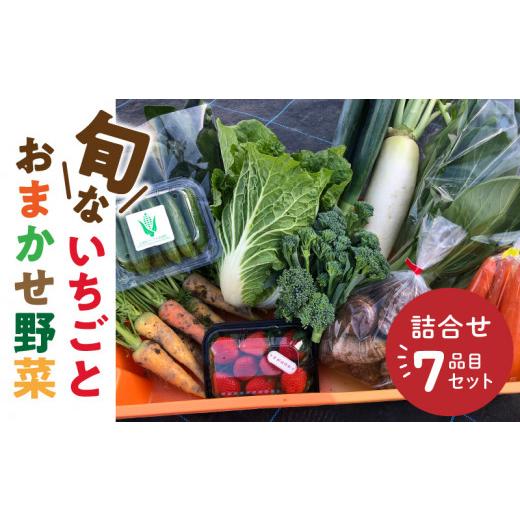 ふるさと納税 福岡県 久留米市 旬ないちごとおまかせ野菜詰合せ7品目セット