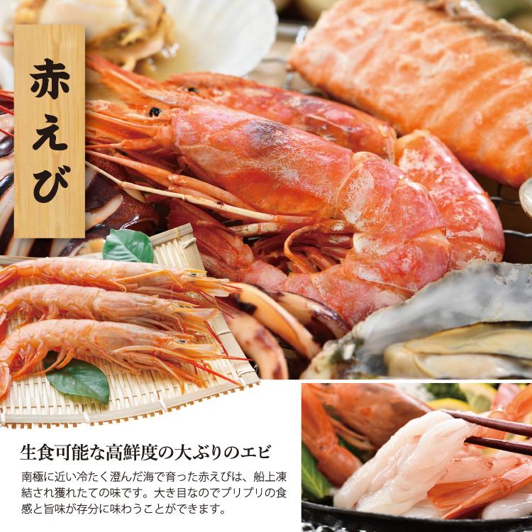 お歳暮 バーベキューセット B 海鮮 BBQセット 5種14品 3〜4人前