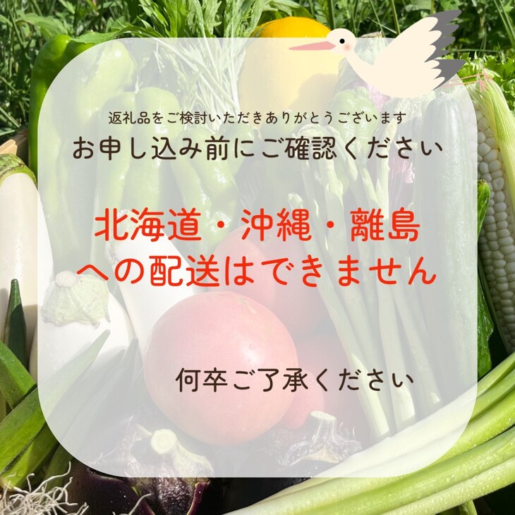 訳あり 新鮮 季節の野菜 セット 7～10品目 農家直送 朝採れ 亀岡 佐伯の里 京都丹波産 家計応援 生活応援