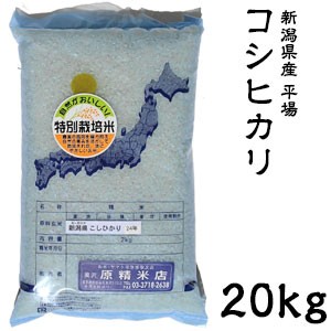 米 日本米 Aランク 令和4年度産 新潟県産 平場コシヒカリ 20kg