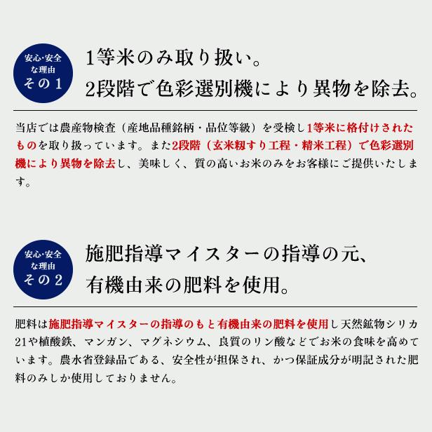 新米 令和5年産 福島県 中通産 ひとめぼれ 玄米 30kg 精白米 27kg  お米