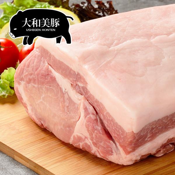 豚肉 大和美豚 極厚 とんかつ 豚かつ トンカツ 150g×3枚入り 送料無料 冷凍便