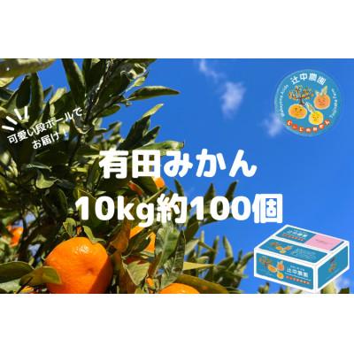 ふるさと納税 有田川町 和歌山県ありだ　じぃじのみかん