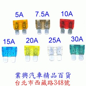 通用型插片式保險絲 大 19 mm × 19mm (1VN-001)