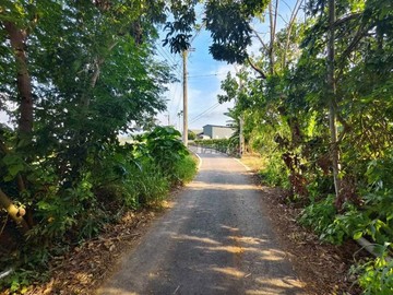獨家專賣~名間自用置產首選稀有大地坪農地｜南投縣名間鄉新厝段