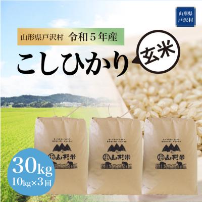 ふるさと納税 戸沢村  コシヒカリ 定期便 30kg(10kg×3回お届け)山形県 戸沢村