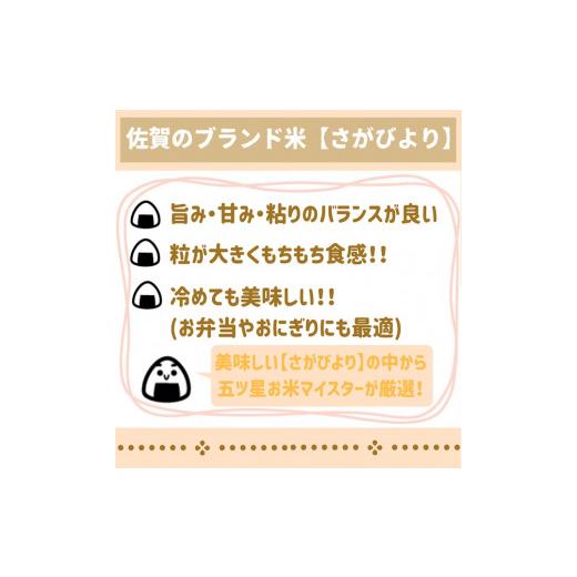 ふるさと納税 佐賀県 みやき町 CI348　さがびより５kg 