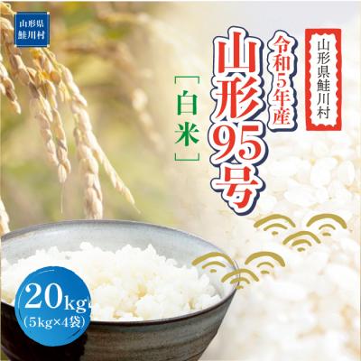 ふるさと納税 鮭川村 令和5年産　山形95号20kg(5kg×4袋)山形県鮭川村