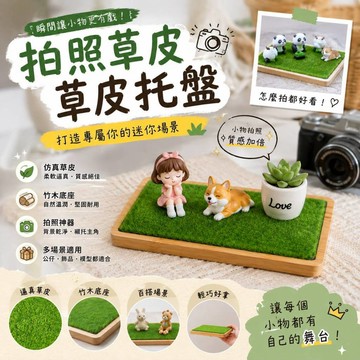 小廢物研究所 草皮托盤 拍照草皮 拍照道具 竹木墊子 桌面公仔 模型底座 樹脂PVC 小擺件飾品 人造草皮 假草皮