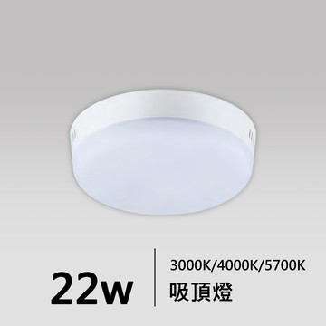 22W 吸頂燈｜F05-18-83432