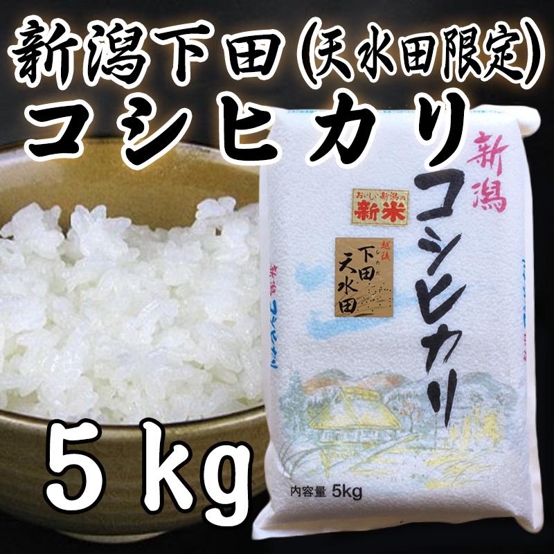 新米 新潟県産 越後下田郷コシヒカリ［天水田米］白米 5kg お米 令和5年産